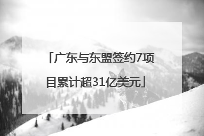 广东与东盟签约7项目累计超31亿美元